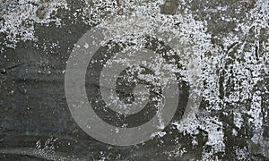 Texture.Cement texture.Tileable Stone Texture.Texture.Abstract stone lights stone texture with white background wallpaper.