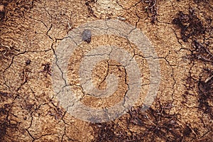 The texture of the clay