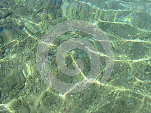 Texture of clear sea water