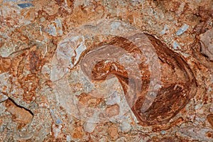 texture of  Cliffs at Hive Beach, Burton Bradstock, Bridport, Dorset, England, United Kingdom