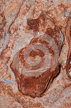 texture of  Cliffs at Hive Beach, Burton Bradstock, Bridport, Dorset, England, United Kingdom