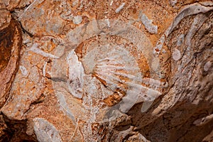 texture of  Cliffs at Hive Beach, Burton Bradstock, Bridport, Dorset, England, United Kingdom