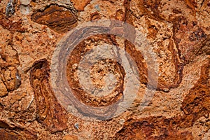 texture of  Cliffs at Hive Beach, Burton Bradstock, Bridport, Dorset, England, United Kingdom