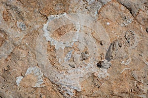 texture of  Cliffs at Hive Beach, Burton Bradstock, Bridport, Dorset, England, United Kingdom