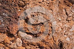 texture of  Cliffs at Hive Beach, Burton Bradstock, Bridport, Dorset, England, United Kingdom