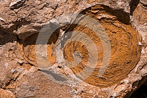 texture of  Cliffs at Hive Beach, Burton Bradstock, Bridport, Dorset, England, United Kingdom