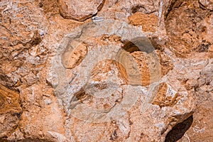 texture of  Cliffs at Hive Beach, Burton Bradstock, Bridport, Dorset, England, United Kingdom