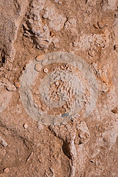 texture of  Cliffs at Hive Beach, Burton Bradstock, Bridport, Dorset, England, United Kingdom