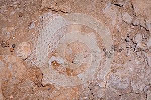 texture of  Cliffs at Hive Beach, Burton Bradstock, Bridport, Dorset, England, United Kingdom