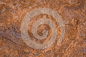 texture of  Cliffs at Hive Beach, Burton Bradstock, Bridport, Dorset, England, United Kingdom