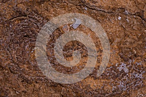 texture of  Cliffs at Hive Beach, Burton Bradstock, Bridport, Dorset, England, United Kingdom