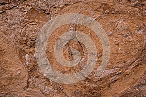 texture of  Cliffs at Hive Beach, Burton Bradstock, Bridport, Dorset, England, United Kingdom