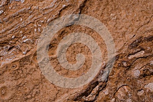 texture of  Cliffs at Hive Beach, Burton Bradstock, Bridport, Dorset, England, United Kingdom