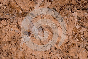 texture of  Cliffs at Hive Beach, Burton Bradstock, Bridport, Dorset, England, United Kingdom