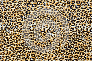 Texture of close up print fabric striped leopard