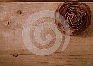 Texture Close Up Wood Board With Cedar Rose