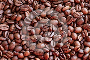 Texture of coffee beans scattered randomly. Brown texture