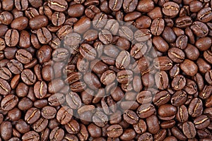 Texture of Colombia Supremo gourmet coffee .