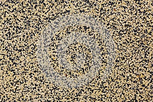 Texture of color rubber floor on playground