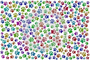 Texture of colorful pawprints of dogs on a white background
