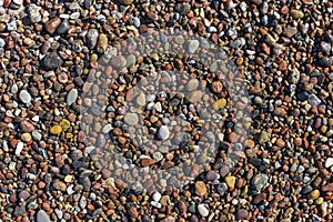 Texture of colorful pebbles lying on the beach on a sunny day