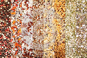 Texture of colorful spices and herbs mix. Group of colored spice. Collage of different herbs and spices Peppers