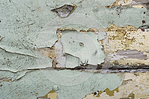 Texture / compositing: Flaking, peeling, old blue and cream paint on wood. 20