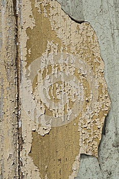 Texture / compositing: Flaking, peeling, old blue and cream paint on wood. 26