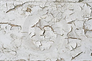 Texture / compositing: Flaking, peeling white paint on wood. 7 photo