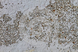 Texture Concrete old Wal