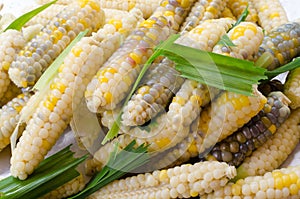 texture of cooked peeled corn pod. There are parti-colored of white, yellow, purple, red,black.