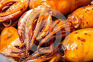 Texture of cooked squid close-up