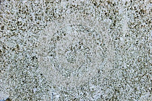 Texture coquina stone, close-up.