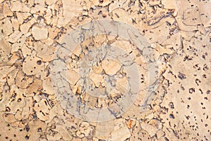 Texture of cork board wood surface, natural wooden decorative panel