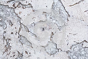 Texture of cork board wood surface, natural wooden decorative panel