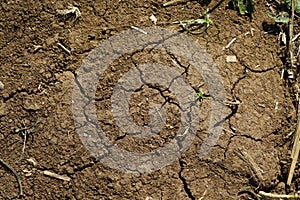 Texture of crack dry solid.