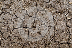 Texture of crack dry solid.