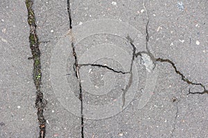 Texture of cracked asphalt