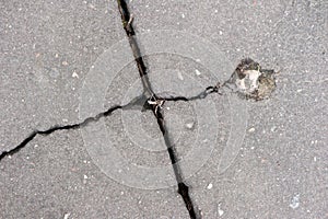 Texture of cracked asphalt