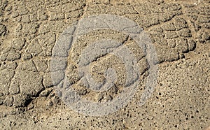 The texture of cracked asphalt