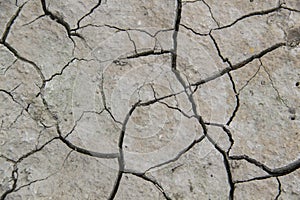 The texture from cracked dry earth.  Cracks against background