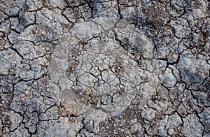 Texture cracked earth