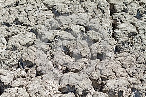 Texture cracked earth in the dry season