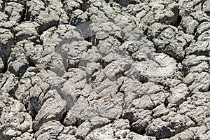 Texture cracked earth in the dry season