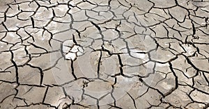 Texture of cracked earth - nature background