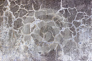 Texture of cracks