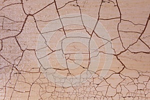 Texture with craquelure