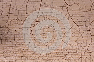 Texture with craquelure