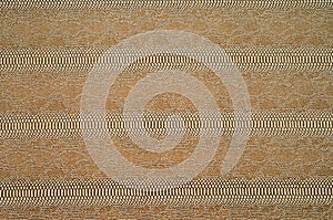 Texture of crocodile skin.