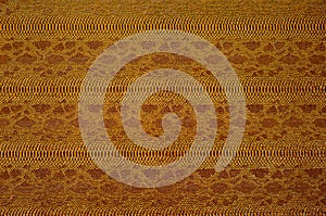 Texture of crocodile skin.